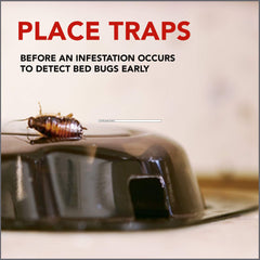 Raid bed bug detector-trap indoor use suitable for bedrooms and living spaces.
