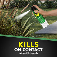 Raid House and Garden spray indoors, convenient pest control with no odor.