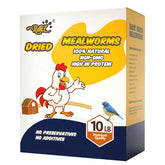 RANZ dried mealworms fed to chickens to support protein during growth