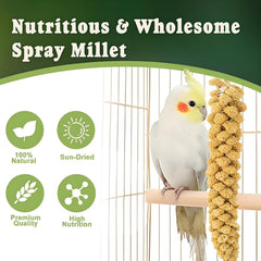 Close-up of RANZ millet spray prepared for parakeets.