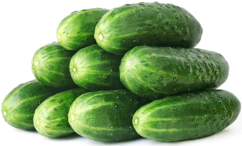 RDR Seeds Straight Eight cucumber seeds pack for home gardens and tasty harvests.