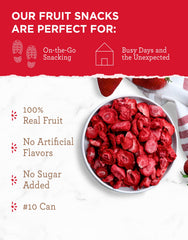 Close-up of ReadyWise freeze-dried strawberries highlighting crisp texture.