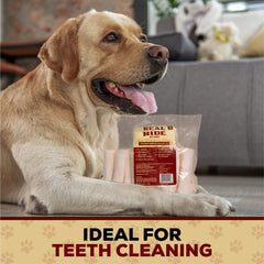 Real Hide dog chewing on roll demonstrating engaging chew activity