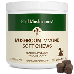 Real Mushrooms Immune Pet Chews bottle highlighting daily immune and digestive support for pets