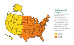 RESCUE! trap hanging outdoors demonstrates targeted protection during peak yellowjacket season.