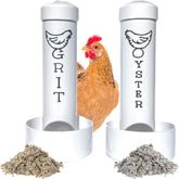 Revolutionary Chicken oyster-shell feeder mounted on coop wall for easy calcium access.