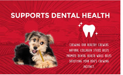 Rewardables limited-ingredient dog chews appear simple and easily digestible.