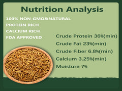 Rexilon dried BSF larvae close-up highlighting protein-rich nutrition for flock vitality.