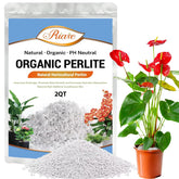 Riare organic perlite for plants with porous texture improves soil aeration and root health.