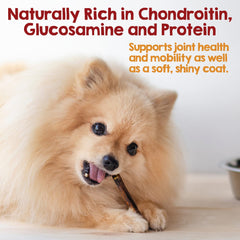 Riley's beef collagen stick pack - no raw hide option for dogs.