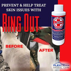 Ring Out being applied to a dog's coat to prevent ringworm