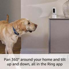 Ring Pan-Tilt Indoor Cam HD video for clear day and night viewing