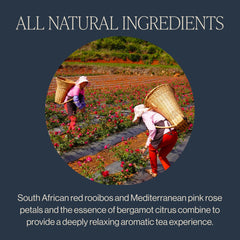 Close-up of rose petals and rooibos in the Rishi Bergamot Rose blend