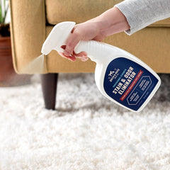 Rocco & Roxie carpet stain action removing organic spills