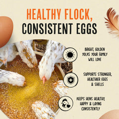 Eggs with stronger shells and vibrant color from Roosty's formula