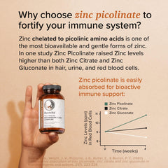 Rootcha chelated zinc picolinate capsules close-up with clean label
