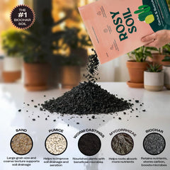 Rosy Soil easy-planting-instructions guide potting succulents with confidence.