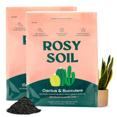 Rosy Soil pack-2 cactus-succulent mix supports easy indoor planting and healthy roots.