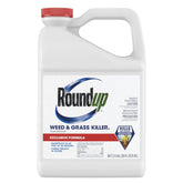 Roundup weed killer concentrate bottle ready for yard application