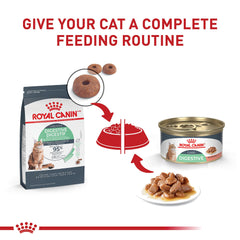 Close-up of Royal Canin Digestive Care wet food slices in gravy, tender texture for palatability.