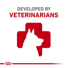 Royal Canin Digestive Care loaf in sauce served in bowl showing texture.