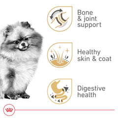 Royal Canin Pomeranian kibble close-up showing small, easy-to-chew pieces.