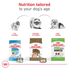 Royal Canin Pomeranian dry food with serving bowl for daily meals.