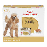 Royal Canin Poodle Adult Wet Food loaf in sauce in bowl, appealing texture for picky eaters