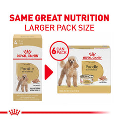 Royal Canin Poodle Adult Wet Food texture close-up showing loaf in sauce
