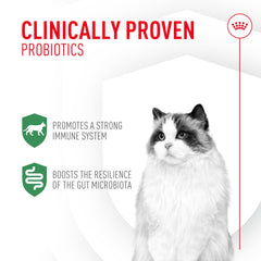 Royal Canin Probiotics sachets ready to sprinkle onto cat food.