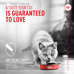 Royal Canin Probiotics sprinkled on dry food supports daily digestive wellness.