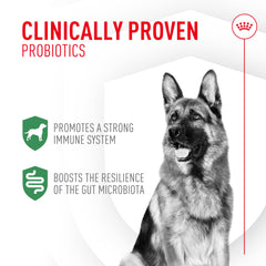 Royal Canin Probiotics on wet food boosts flavor and gut balance