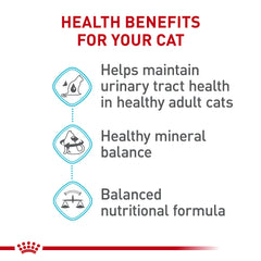 Serving bowl with Royal Canin Urinary Care dry food promotes a healthy feeding routine.