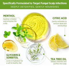 Roycederm Tea Tree Scalp Scrub applied on scalp demonstrates massage-friendly exfoliation