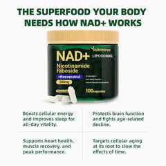 Rubimirez NAD+ ingredients close-up highlighting nicotinamide riboside and resveratrol for antioxidant synergy.