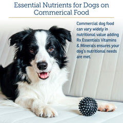Rx Vitamins Essentials for Dogs calcium minerals blend, promotes strong bones