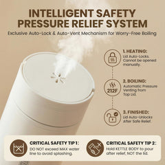 Rzlinn Travel Tea Kettle four-temperature presets for tea and coffee variety.