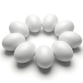 SallyFashion wooden eggs in nesting boxes for realistic pullet training and practice