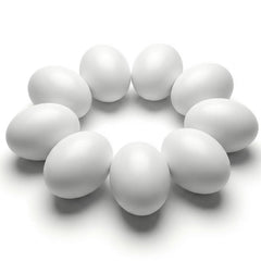 SallyFashion wooden eggs in nesting boxes for realistic pullet training and practice