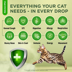 SalutemPet cat antibiotic liquid dispensing drop