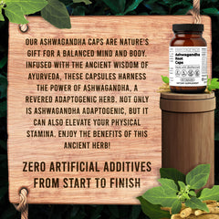 Santa Cruz Paleo BioPerine-boosted blend visual highlighting absorption.