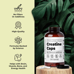 Santa Cruz Paleo Creatine capsules close-up showing vegetarian capsule design.