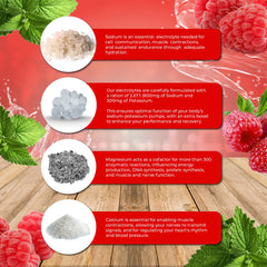 Santa Cruz Paleo Electrolyte Powder jar highlights mineral-rich formula for daily hydration