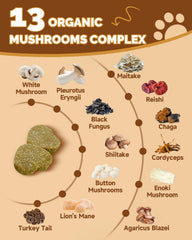 SANTKOL Mushrooms for Dogs reishi-shiitake visual highlights immune-supporting ingredients.