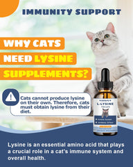 SANTKOL L-Lysine Drops emphasizing eye health support for cats