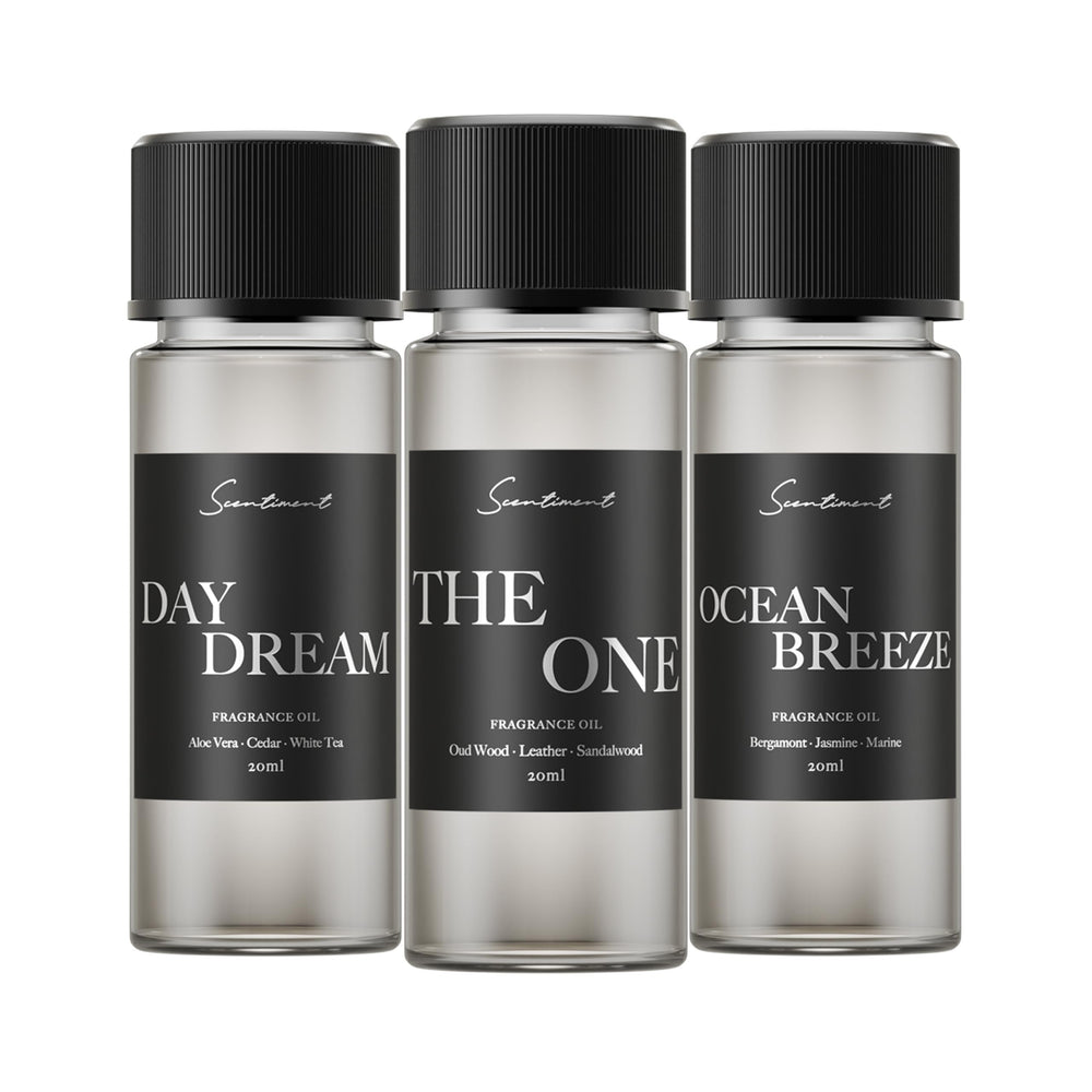 Scentiment Day Dream bottle for serene living spaces and morning calm