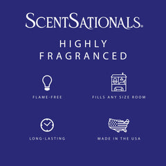 Scentsationals American-made wax melts package showing quality and trust