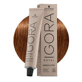 Schwarzkopf Igora Royal Absolutes color application for natural gray coverage