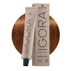 Schwarzkopf Igora Royal Absolutes color application for natural gray coverage