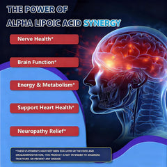 Scibalia Alpha Lipoic Acid with Benfotiamine and Acetyl-L-Carnitine supports nerve health
